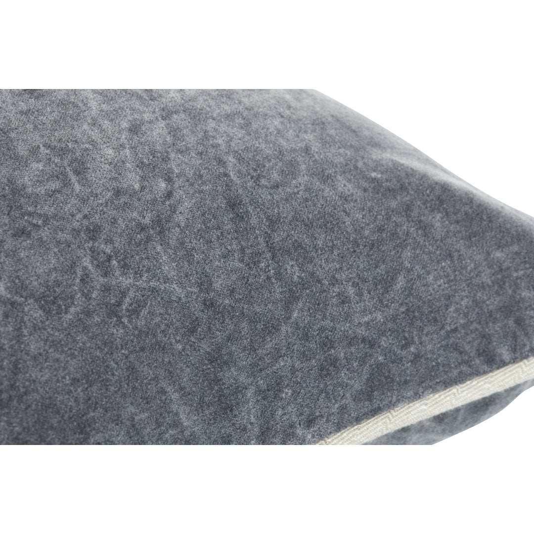 Goodall Square Velvet Pillow Cover & Insert Birch Lane™ Size: 18"H x 18"W
