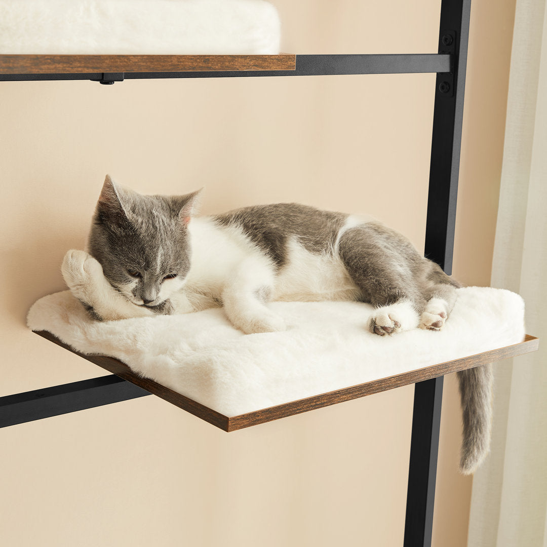 Kimmel 61" Marciano Cat Tree or Condo Archie & Oscar™