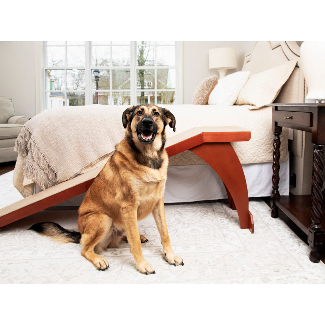 CozyUp Bed Ramp PetSafe®