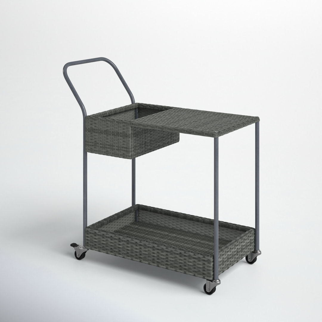 Chambord Bar Cart with Aluminum Frame Birch Lane™