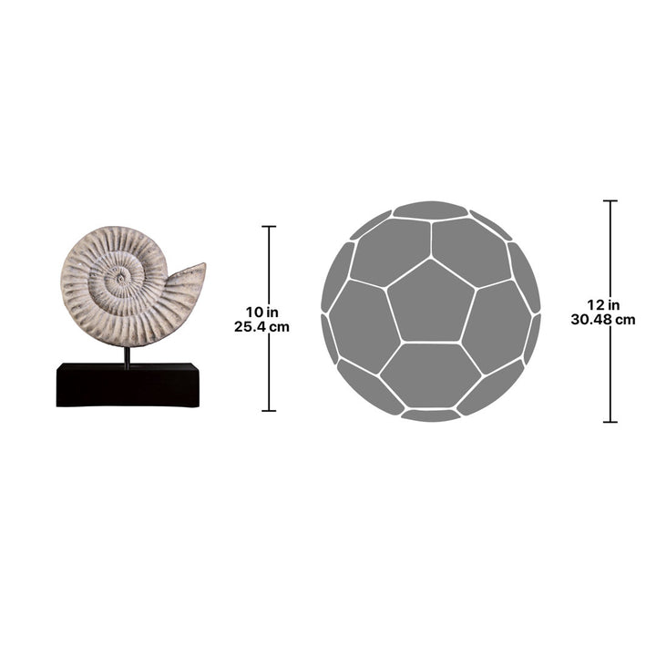 Ammonite Fossil Mount Sculpture Design Toscano