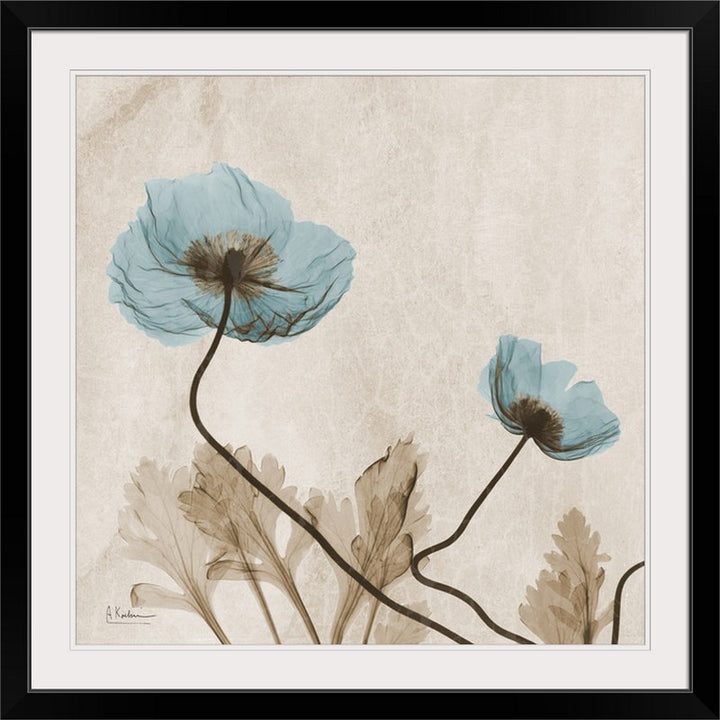 Manigault 'Poppy X-Ray by Kiranjit Photographic Print Wade Logan® Size: 38" H x 38" W x 1" D Format: Black Framed