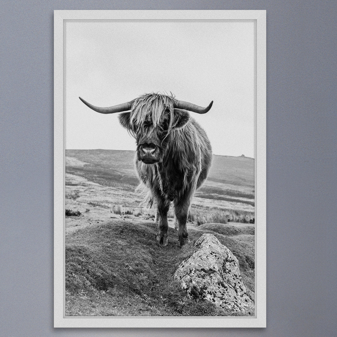 On a Hill - Picture Frame Photograph Print Union Rustic Size: 30" H x 20" W x 1.5" D