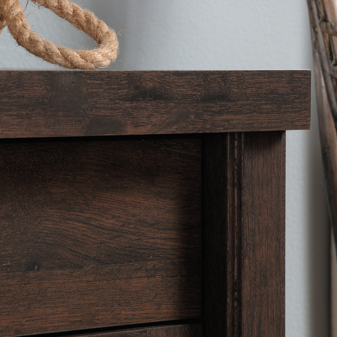 Costa 2 - Door Accent Cabinet Gracie Oaks Color: Coffee Oak