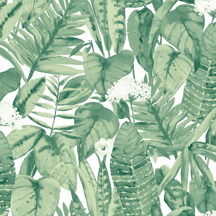 Tropical Peel And Stick Wallpaper Bay Isle Home™ Color: Green