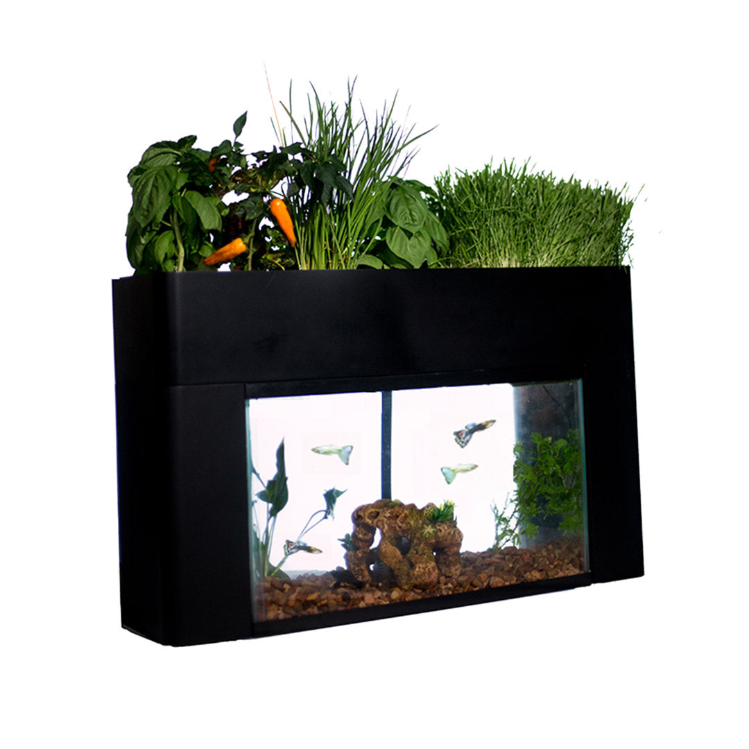 AquaSprouts Garden AquaSprouts