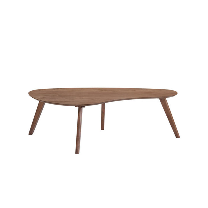 Driskill Coffee Table Hashtag Home