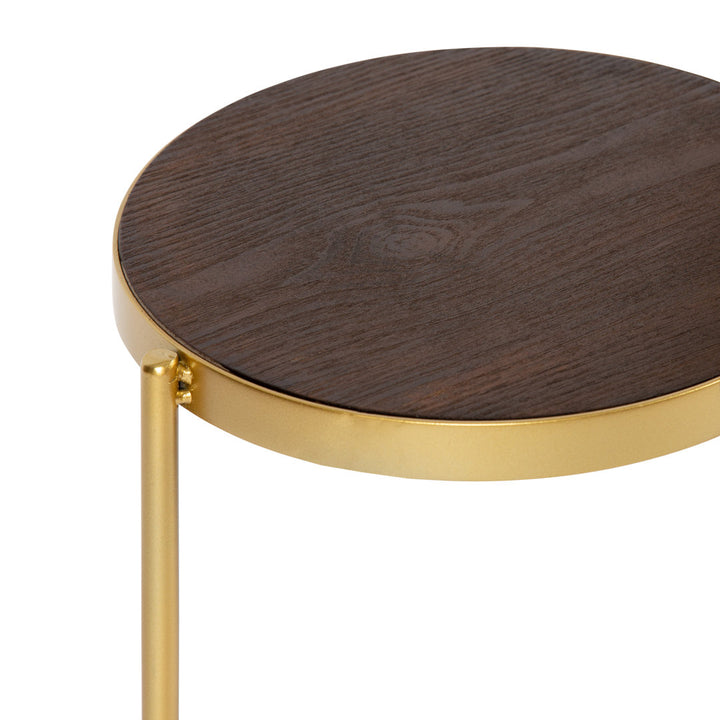 Logan Square Round Multi-Tiered Solid Wood Plant Stand Mercury Row® Color: Walnut Brown