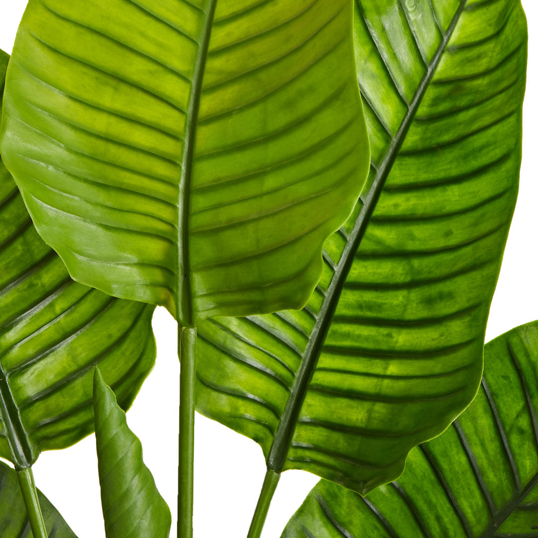60in. Travelers Palm Tree UV Resistant (Indoor/Outdoor) Bay Isle Home™
