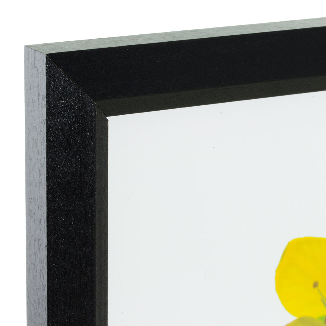 Single Picture Frame Alcott Hill® Color: Black Photo Size: 17" x 24"