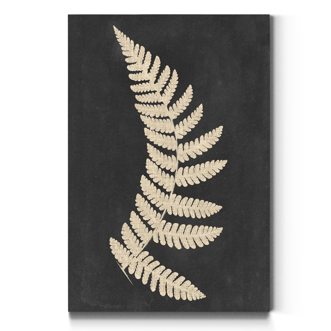 Linen Fern IV - Wrapped Canvas Print on Canvas Kelly Clarkson Home Size: 20" H x 16" W x 1" D
