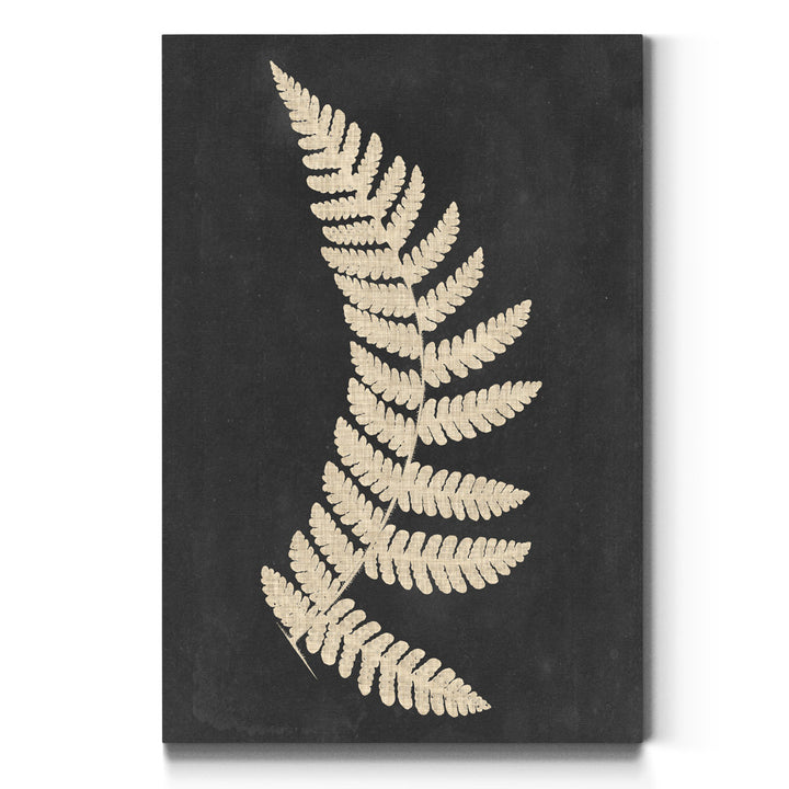 Linen Fern IV - Wrapped Canvas Print on Canvas Kelly Clarkson Home Size: 20" H x 16" W x 1" D