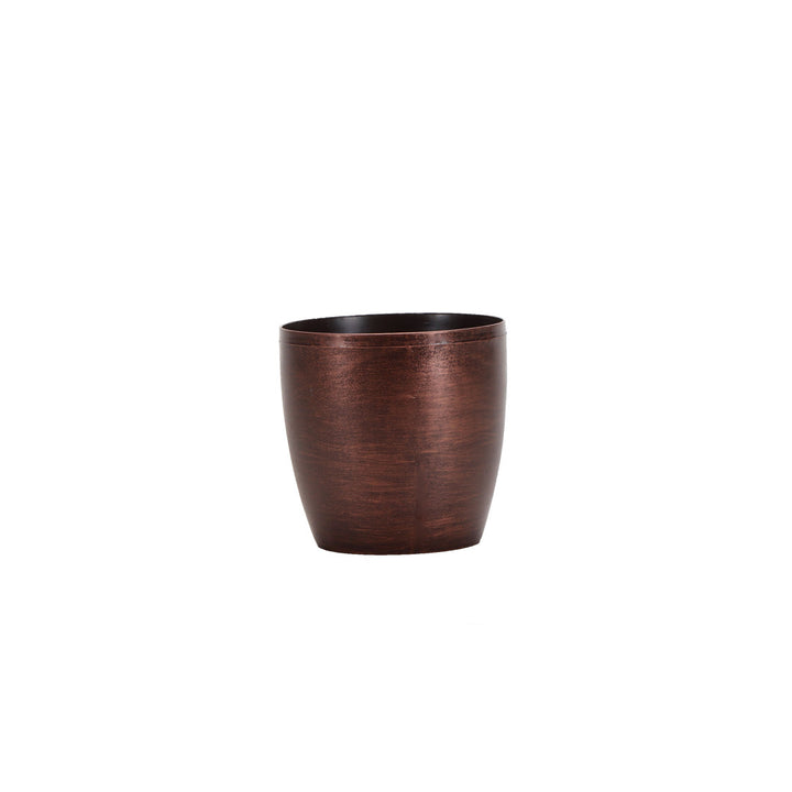 Live Laurentii Snake Plant in Classic Pot Thorsen's Greenhouse Base Color: Copper