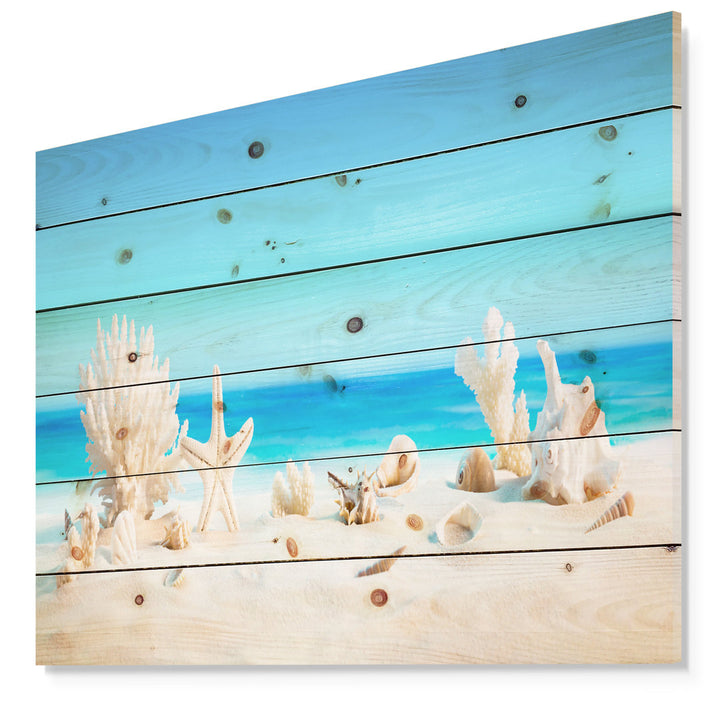 Risa Seashells on Tropical Beach' Graphic Art Highland Dunes Size: 15" H x 20" W x 1" D Format: Wood