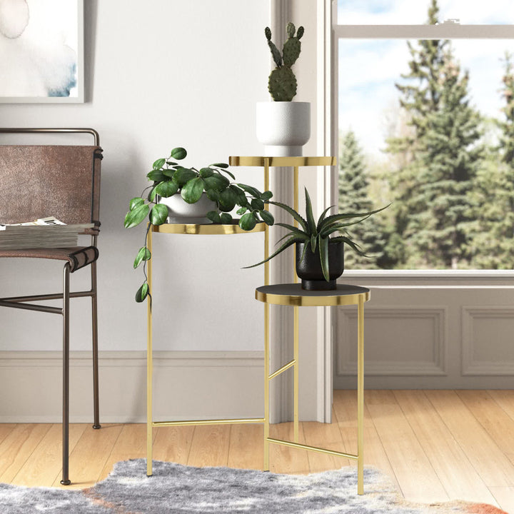 Logan Square Round Multi-Tiered Solid Wood Plant Stand Mercury Row® Color: Black/Gold