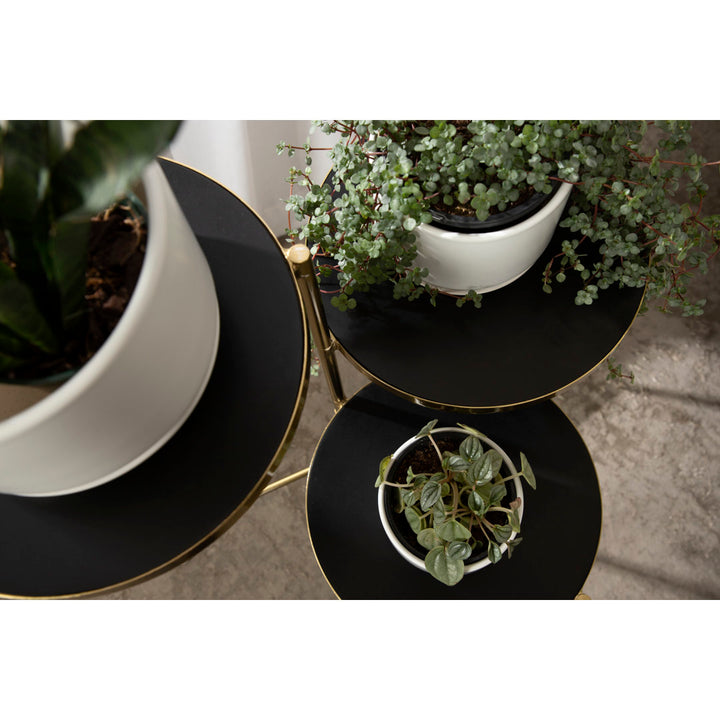 Logan Square Round Multi-Tiered Solid Wood Plant Stand Mercury Row® Color: Black/Gold