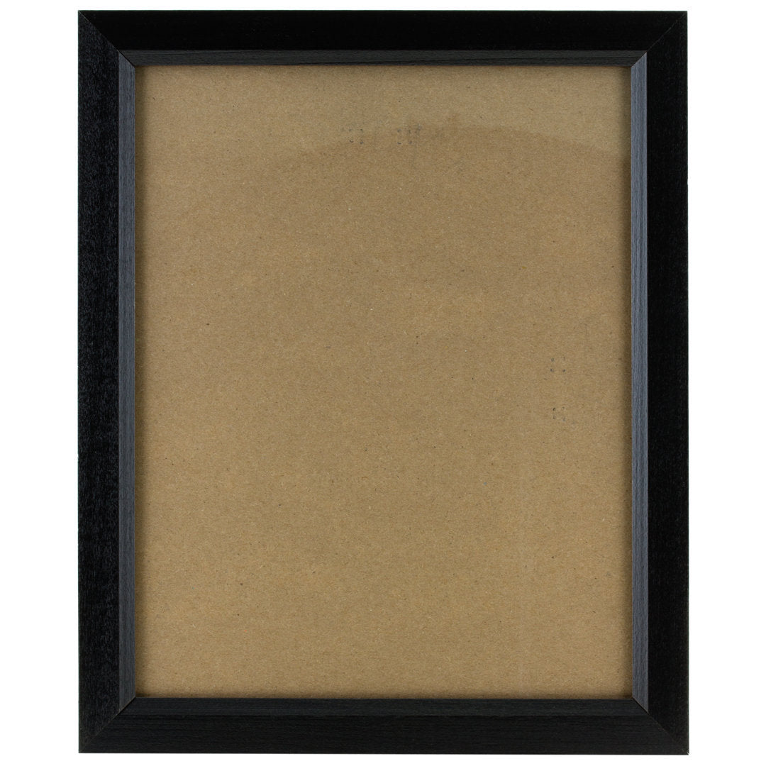 Single Picture Frame Alcott Hill® Color: Black Photo Size: 17" x 24"