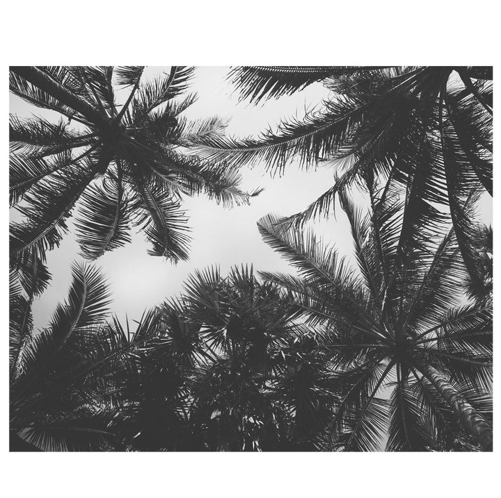 Craney Palm Tree 96" L x 120" W Floral and Botanical Wall Mural (Set of 5) Bayou Breeze