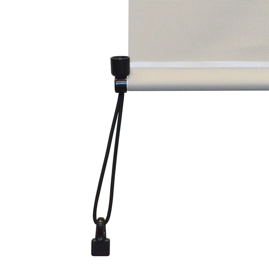 Hillhouse Semi-Sheer Outdoor Roller Shade Symple Stuff Color: Palm Blind Size: 48"W x 96"L