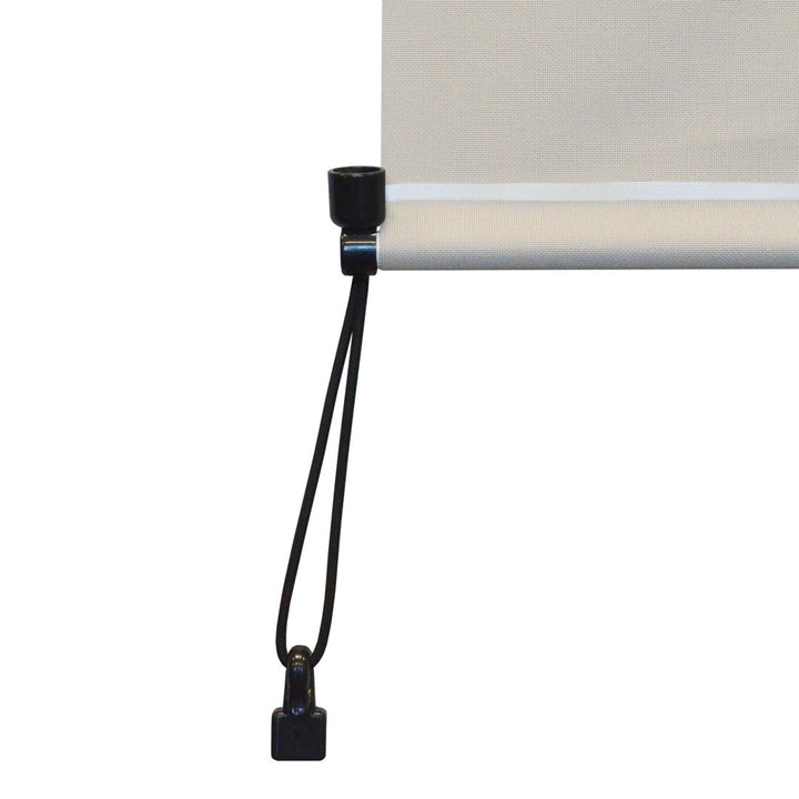 Hillhouse Semi-Sheer Outdoor Roller Shade Symple Stuff Color: Palm Blind Size: 48"W x 96"L