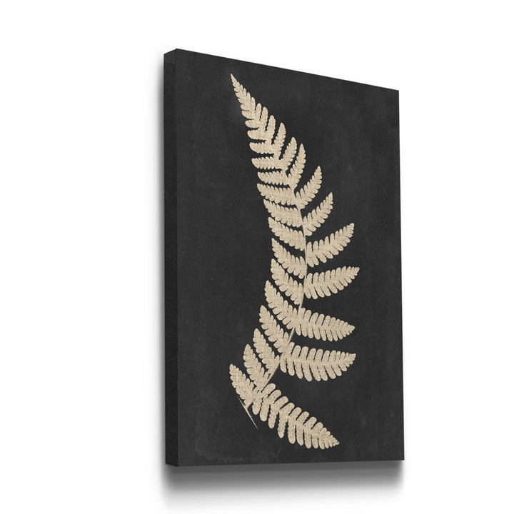 Linen Fern IV - Wrapped Canvas Print on Canvas Kelly Clarkson Home Size: 20" H x 16" W x 1" D