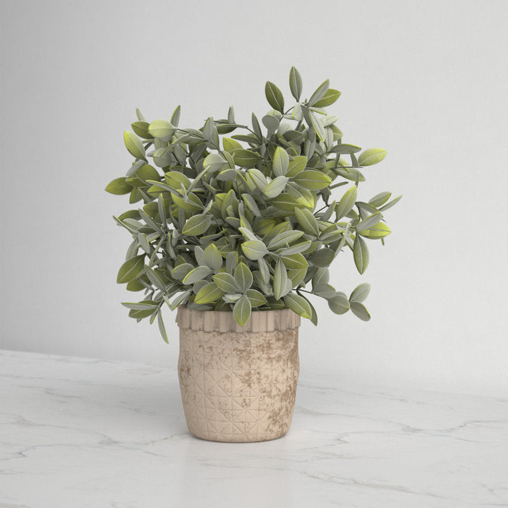 10.25" Artificial Eucalyptus Plant in Pot Kelly Clarkson Home