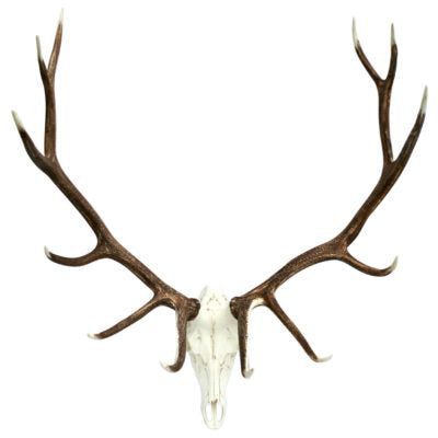 Elk European Wall Décor Union Rustic
