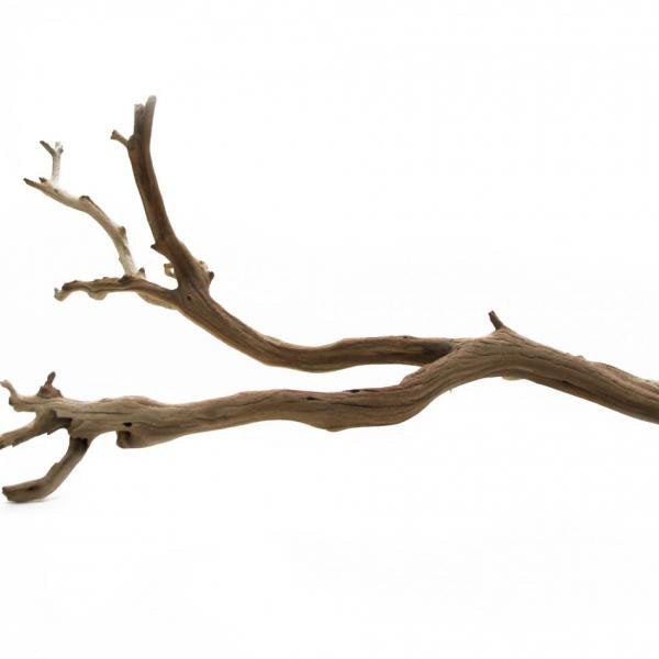 Adolfa Decorative Natural Scuplture Union Rustic Size: 12" W