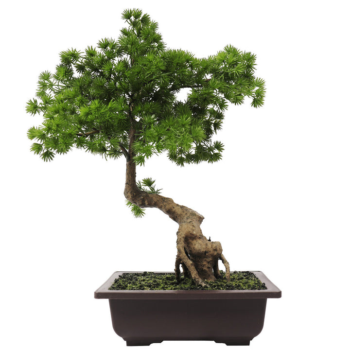 Bourdeau 18" Artificial Bonsai Tree in Pot Beachcrest Home™