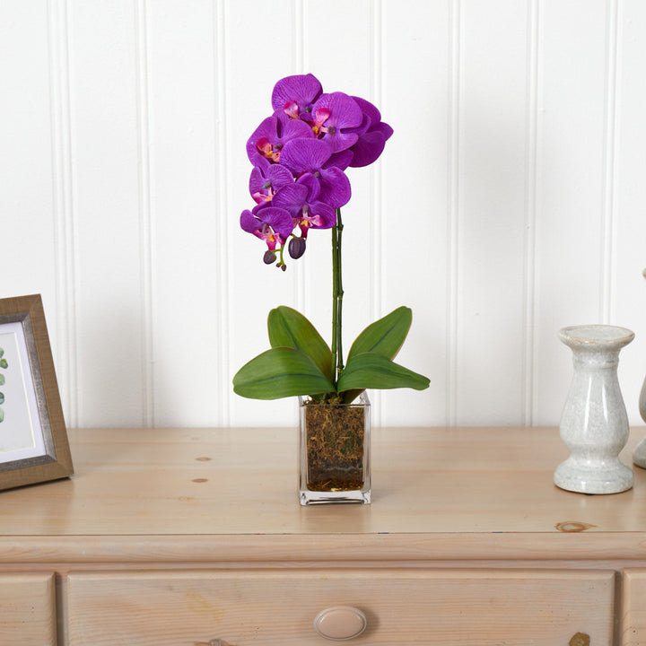 Orchid Floral Arrangement in Vase Mercer41 Flower Color: Mauve