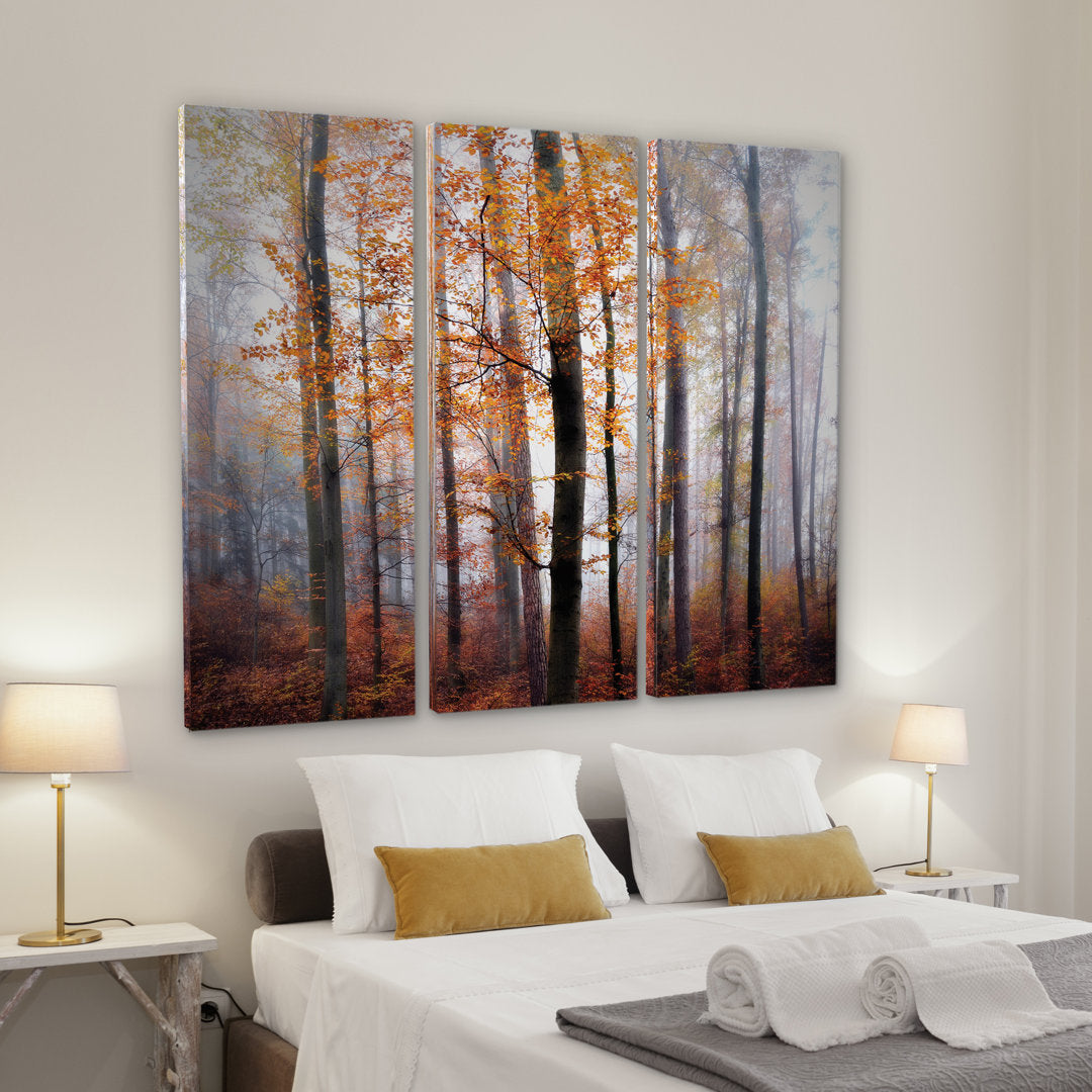 Lost in the Forest - 3 Piece Wrapped Canvas Multi-Piece Image Print Set Alcott Hill® Overall Size: 32" H x 48" W x 1.5" D