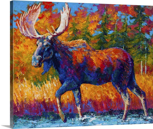 Siya Close Range by Marion Rose Painting Print on Wrapped Canvas Millwood Pines Size: 38" H x 48" W x 1.5" D