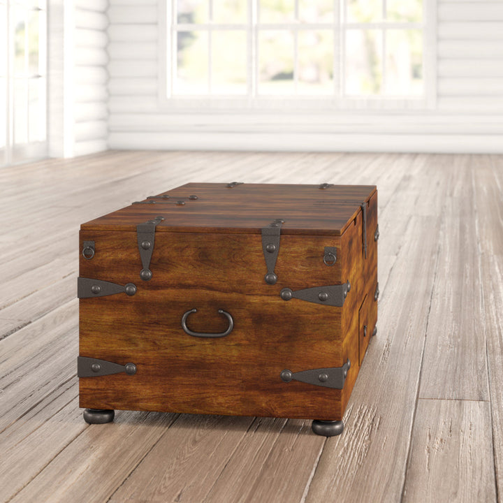 Castrejon Solid Wood Lift Top Coffee Table with Storage World Menagerie