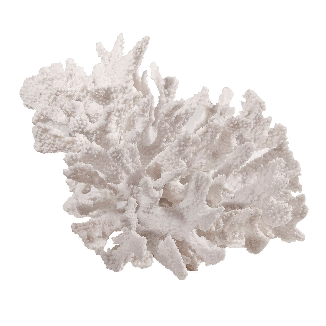 Kristen Coral Decor Birch Lane™