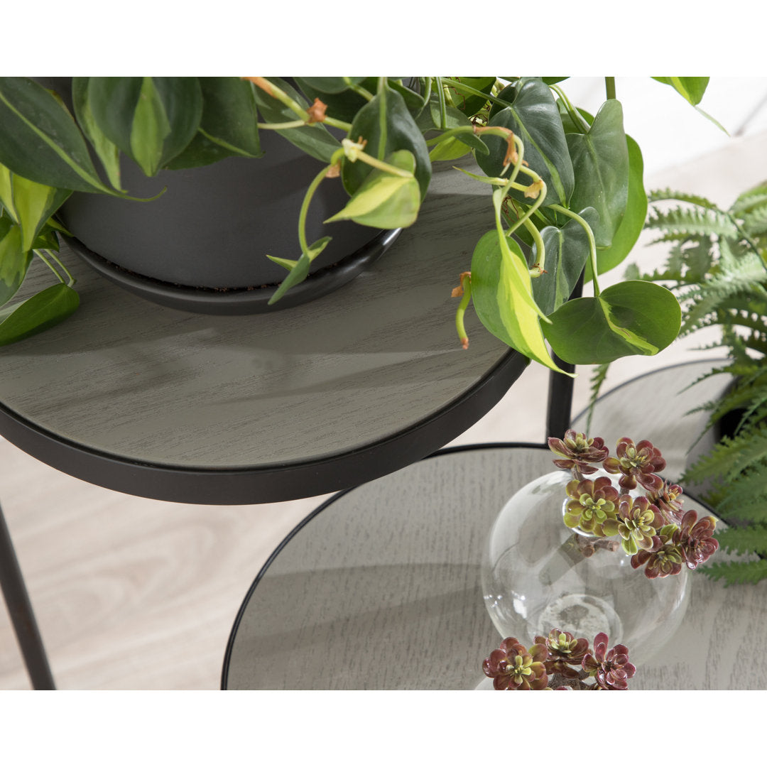 Logan Square Round Multi-Tiered Solid Wood Plant Stand Mercury Row® Color: Gray