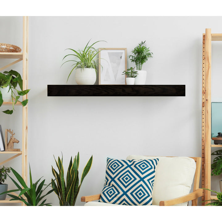 Rayne Floating Shelves Latitude Run® Size: 3" H x 36" W x 4" D Finish: Black