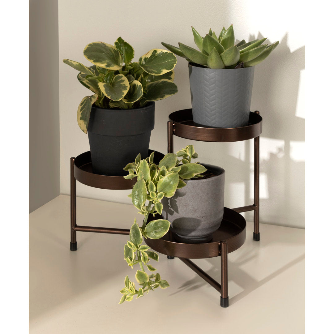Oquendo Round Multi-tiered Plant Stand Ivy Bronx Color: Bronze