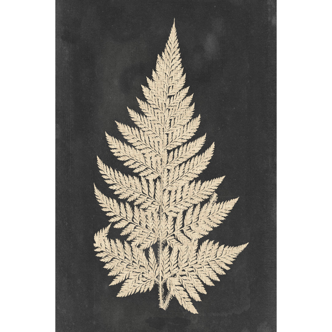 Linen Fern I by Vision Studio Graphic Art Print on Canvas Three Posts™ Size: 36" H x 24" W   Mat Included: No, Format: Maple Single Picture Framed