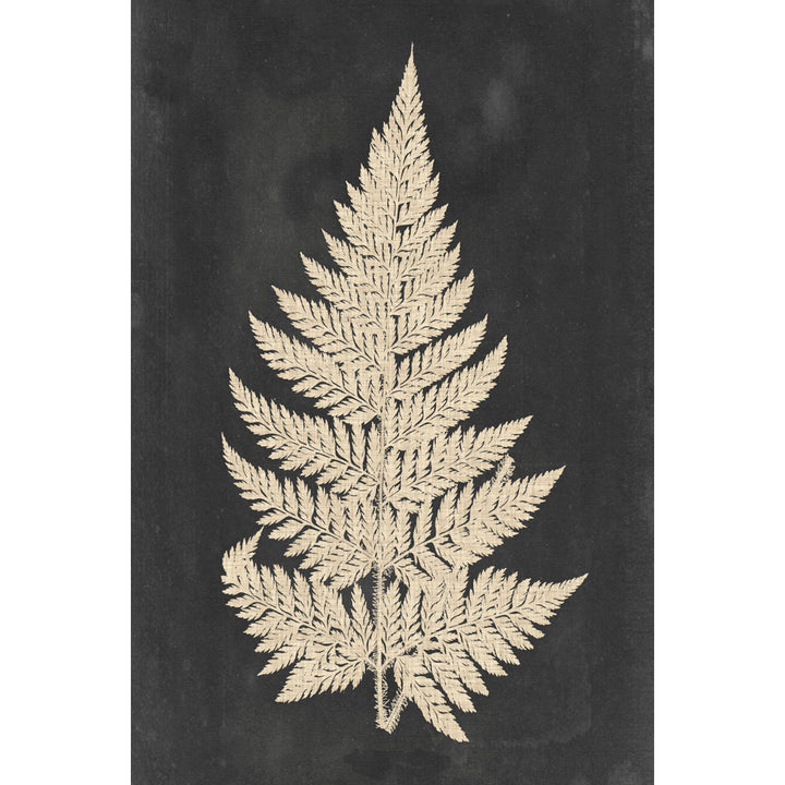 Linen Fern I by Vision Studio Graphic Art Print on Canvas Three Posts™ Size: 36" H x 24" W   Mat Included: No, Format: Maple Single Picture Framed