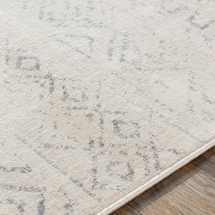 Herrod Machine Woven Gray/Ivory Area Rug Zipcode Design™ Rug Size: Rectangle 6'7" x 9'