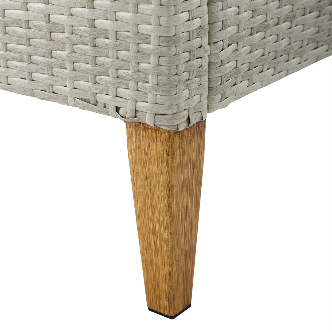 Gabor Patio Chair with Cushions (Set of 2) Birch Lane™ Cushion Color: Gray