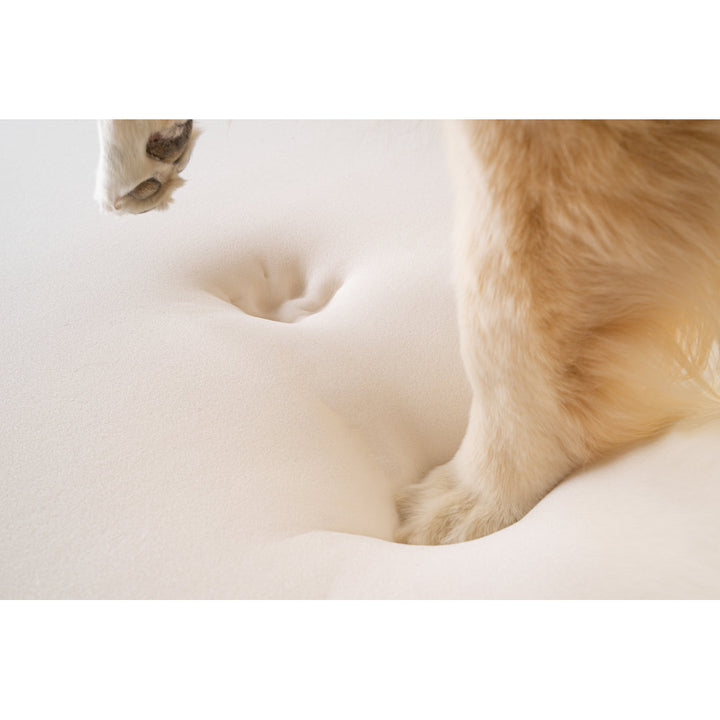 Puprug Runner Faux Fur Memory Foam Dog Curve Mat Paw Brands