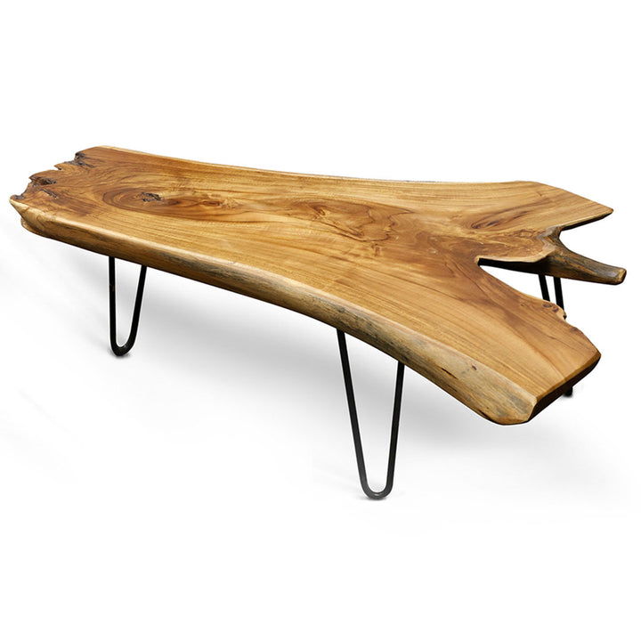 Thaxton 3 Leg Coffee Table Steelside™