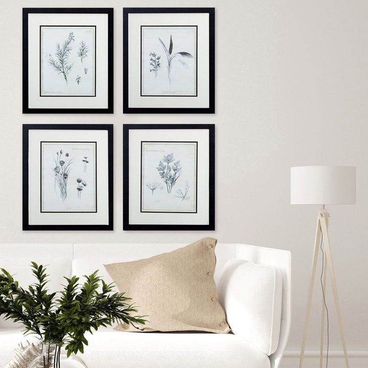 Latin Botanicals' 4 Piece Picture Frame Print Set on Paper Gracie Oaks