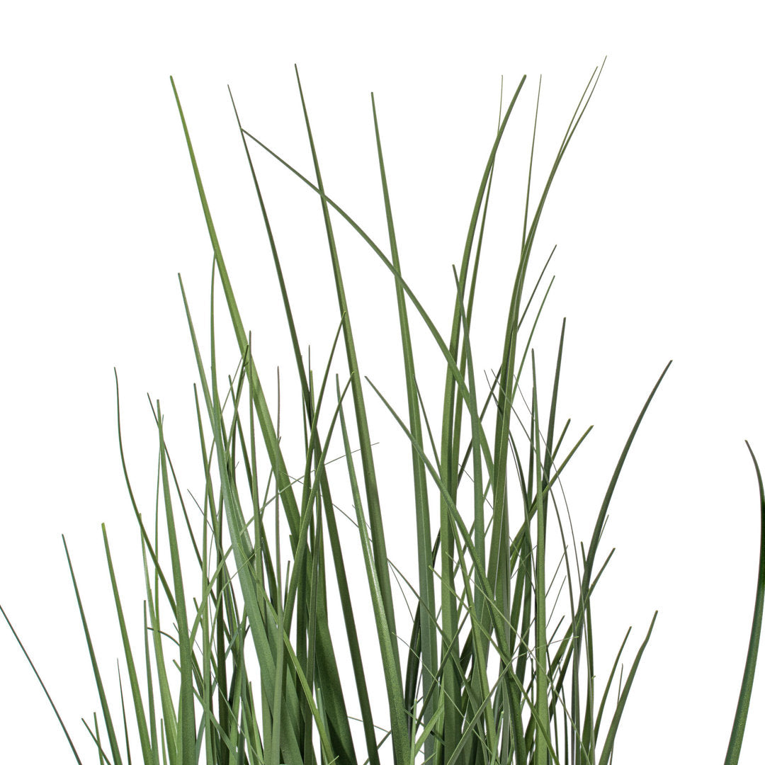 Artificial Green Potted Ryegrass Sand & Stable™ Size: 48" H x 24" W x 24" D
