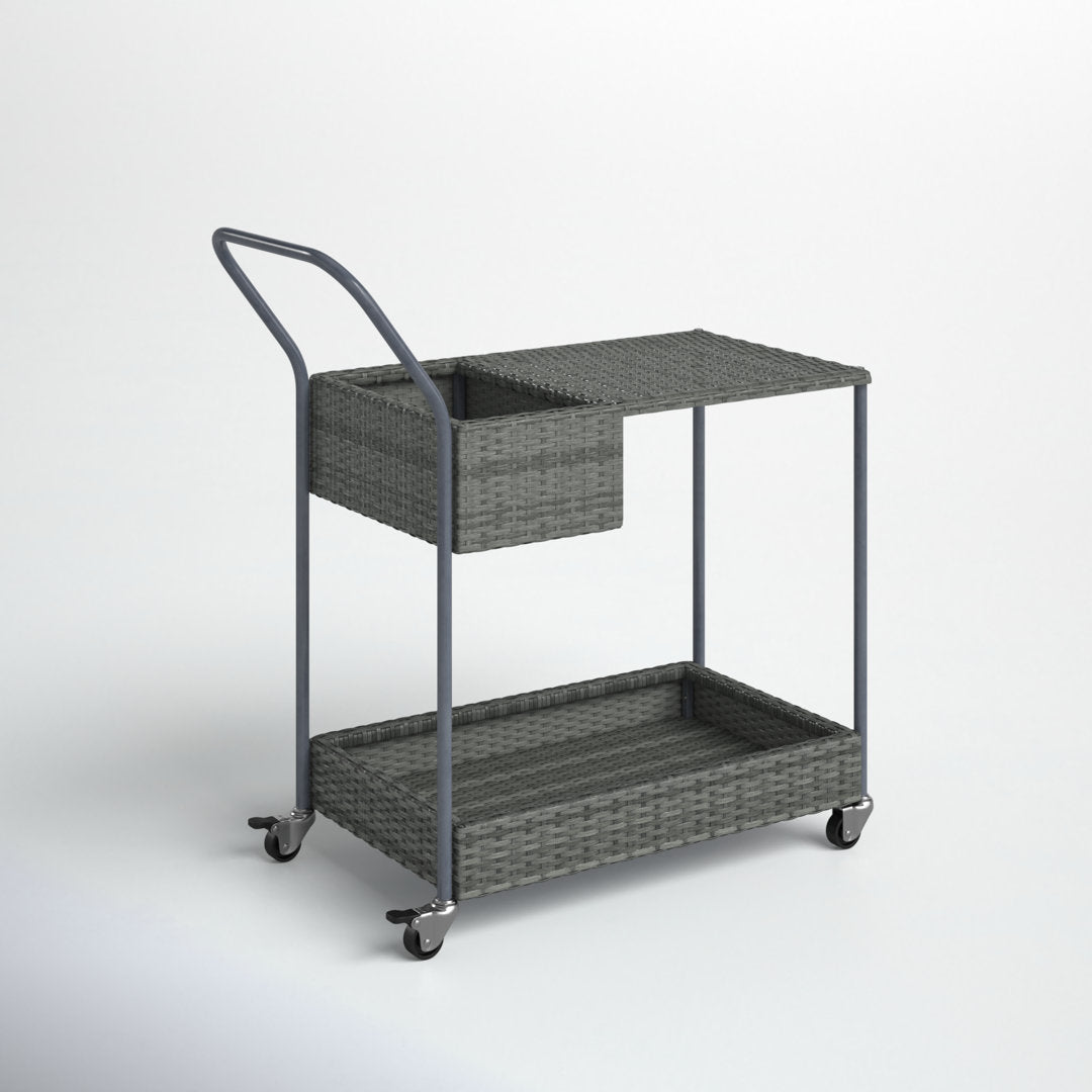 Chambord Bar Cart with Aluminum Frame Birch Lane™