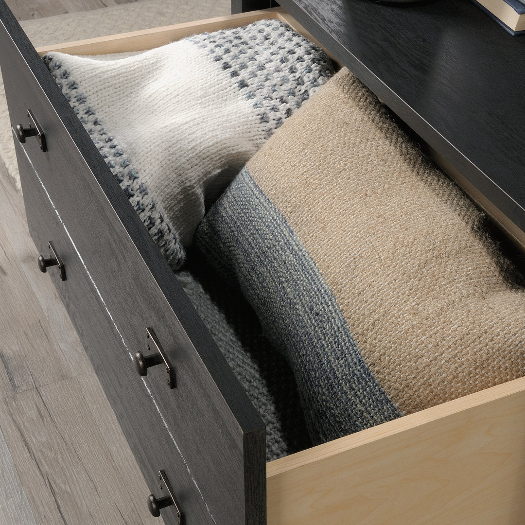 Samons Coffee Table with Storage Andover Mills™ Table Top Color: Raven Oak, Table Base Color: Raven Oak