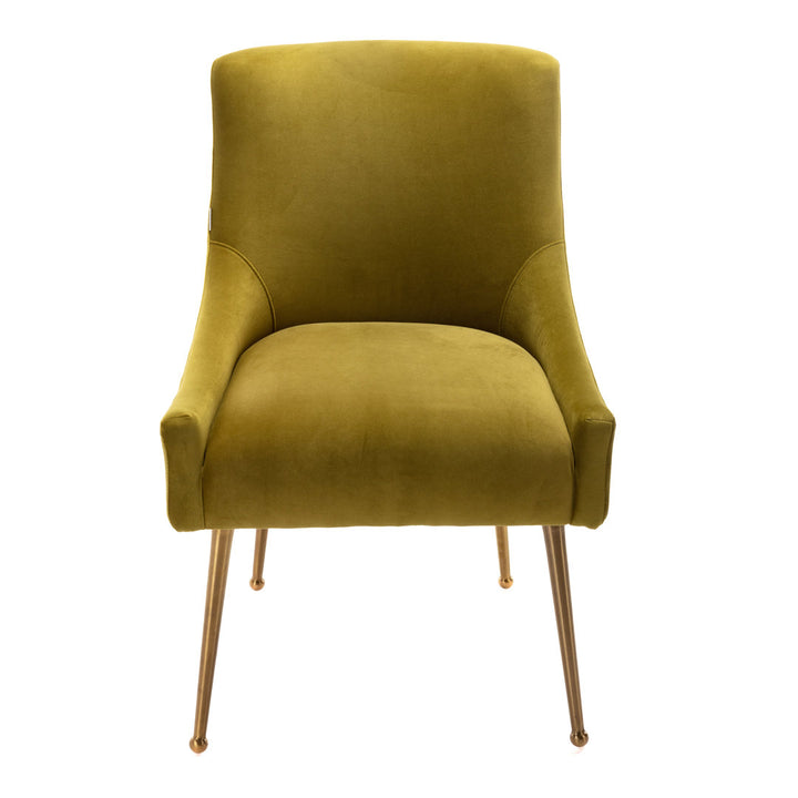Magallanes Velvet Upholstered Side Chair (Set of 2) Willa Arlo™ Interiors Upholstery Color: Green