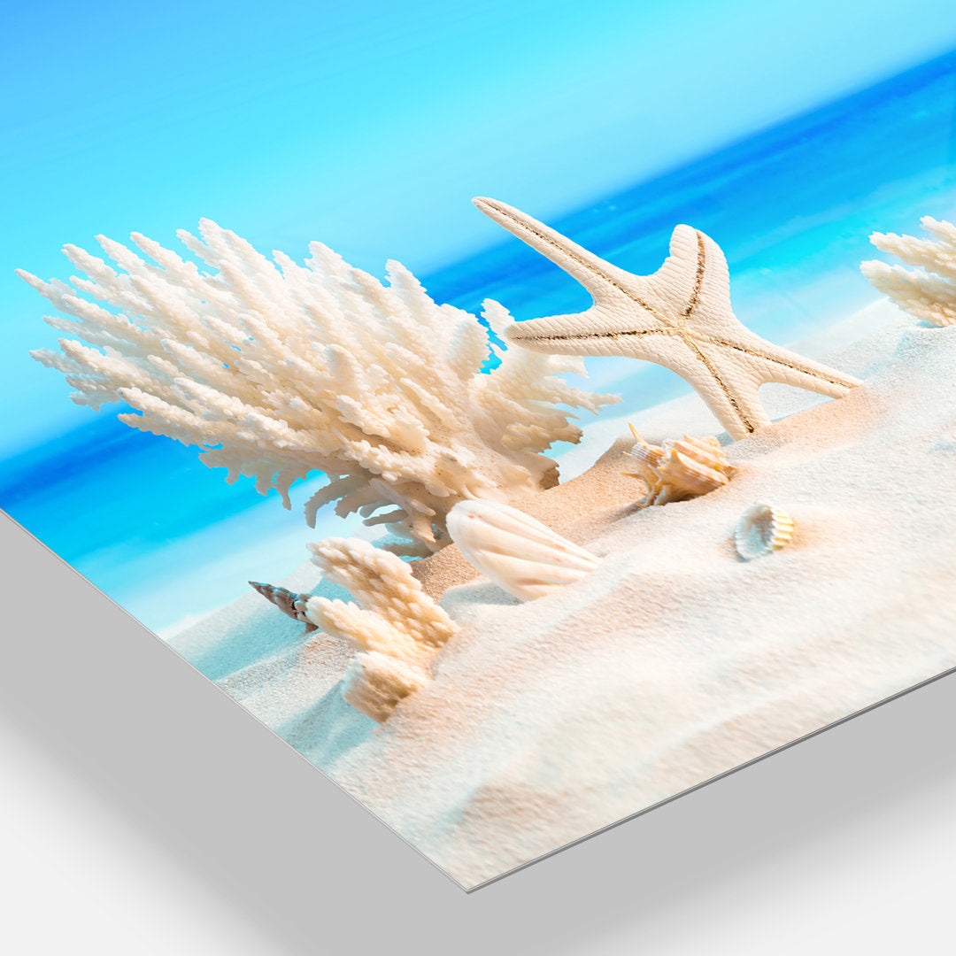 Risa Seashells on Tropical Beach' Graphic Art Highland Dunes Size: 23" H x 23" W x 1" D Format: Metal