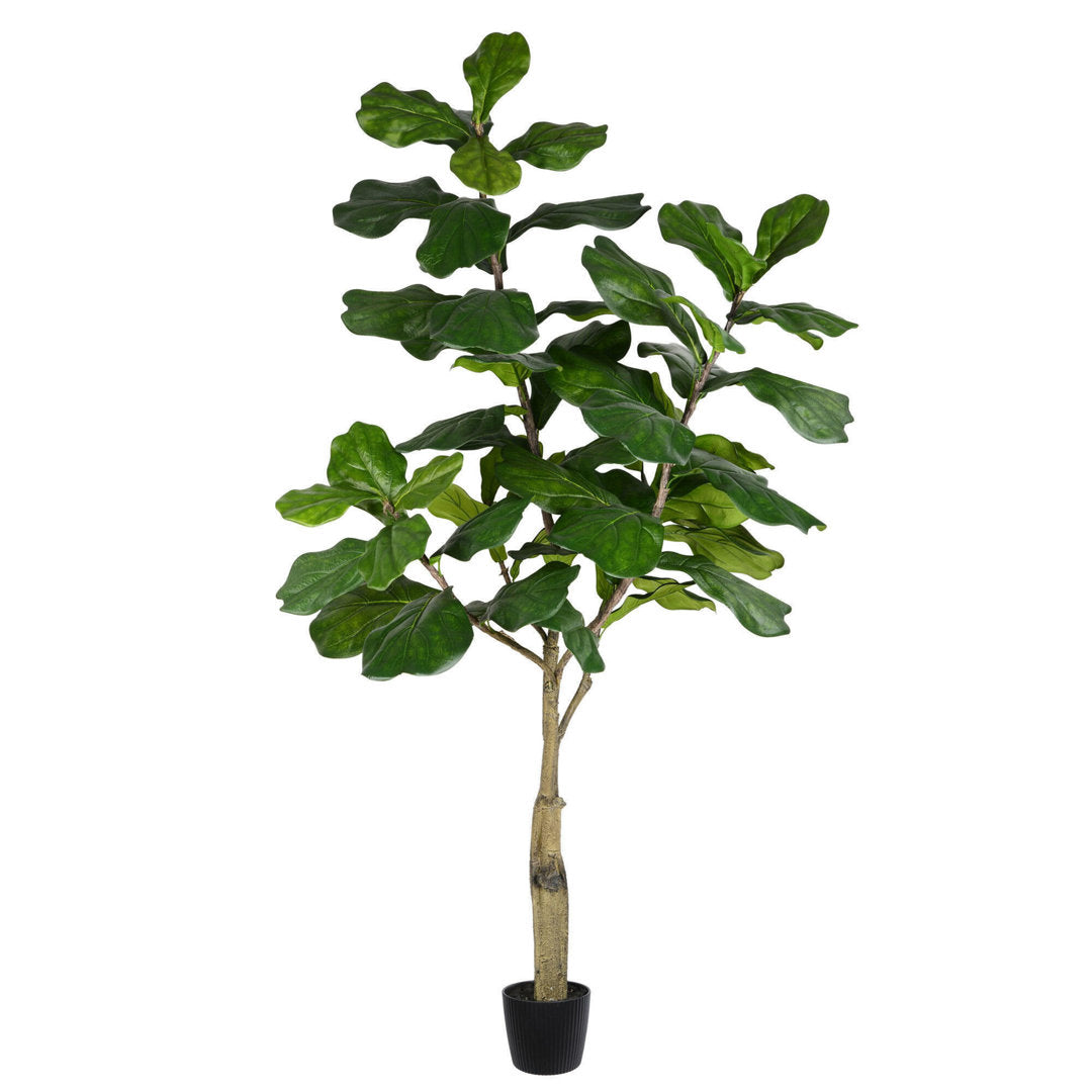 Artificial Potted Fiddle Tree. Birch Lane™ Size: 72" H x 34" W x 34" D